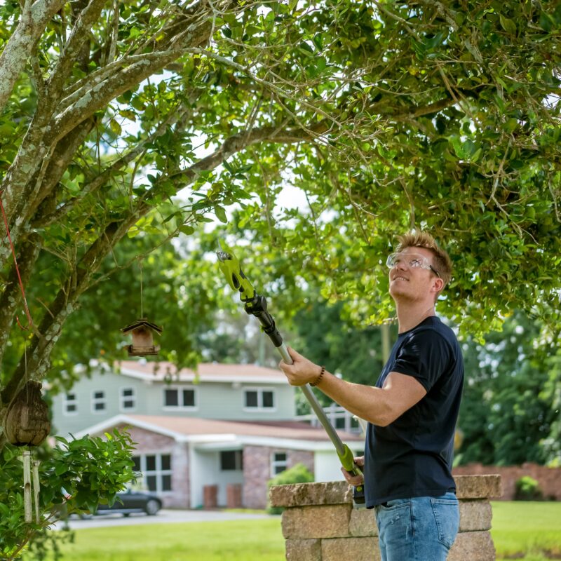 Sun Joe 24V-LRPL2-CT 24-Volt IONMAX Cordless Handheld and Long-Reach Pruner and Lopper | Tool Only - 图片 6