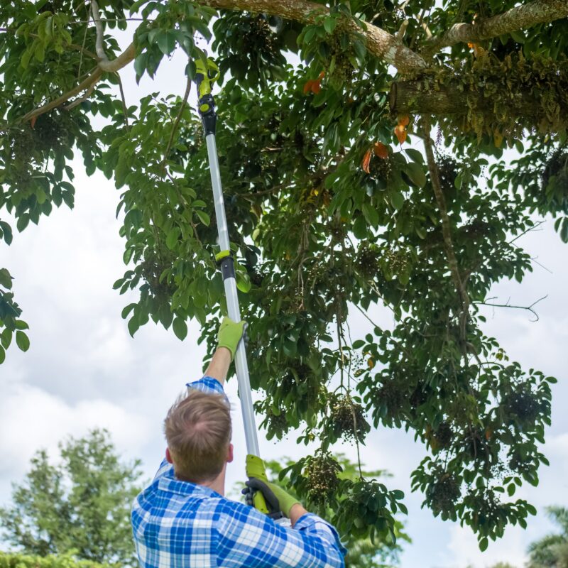 Sun Joe 24V-LRPL2-CT 24-Volt IONMAX Cordless Handheld and Long-Reach Pruner and Lopper | Tool Only - 图片 9