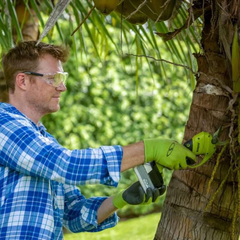 Sun Joe 24V-LRPL2-CT 24-Volt IONMAX Cordless Handheld and Long-Reach Pruner and Lopper | Tool Only - 图片 10