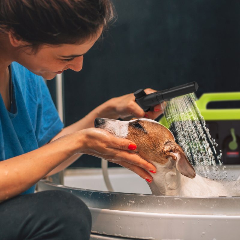 Sun Joe 24V-PSW25-CT 24V IONMAX Cordless Go-Anywhere Portable Sink/Shower Spray Washer | 2.5 Gal | Tool Only | 116 PSI Max* | 1.5 GPM Max* - 图片 10