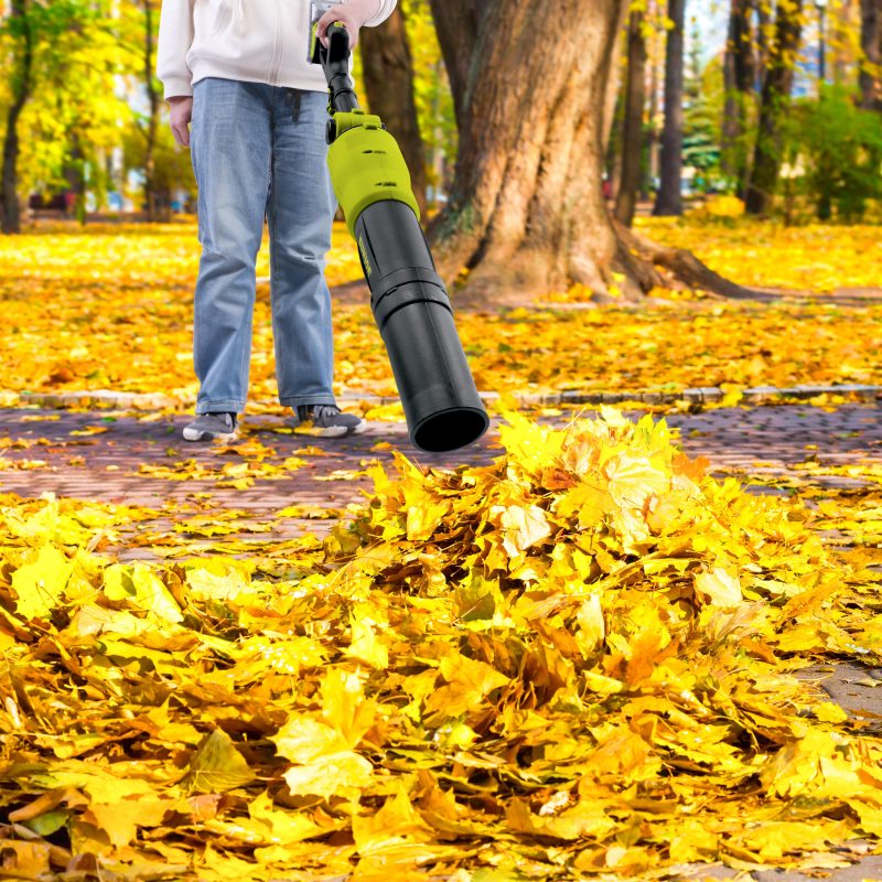 Sun Joe 24V-TBP-LTE 2-in-1 Handheld + Pole Leaf Blower Kit | W/ 2.0-Ah Battery + Charger | Includes 3 Nozzle Connections - 图片 8