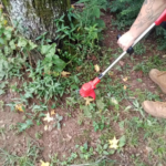 21V Cordless Electric Weed Wacker 6″ 3 In 1 W/ 2.0Ah Battery Reindeer RGL100 photo review