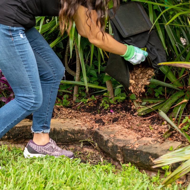 Sun Joe 24V-X2-OGV 48-Volt* IONMAX Cordless Outdoor Garden Vacuum + Mulcher Kit | 850 CFM | 15:1 Mulch Ratio | 2 x 4.0-Ah Batteries + Charger - 图片 9