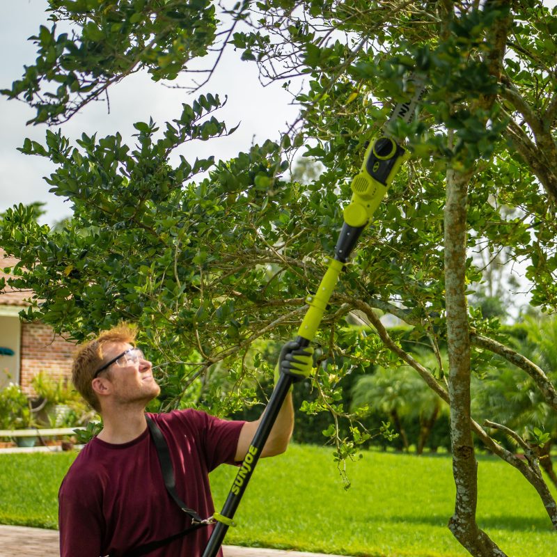 Sun Joe 24V-PS10-LTE 24-Volt* IONMAX Cordless Telescoping Pole Chainsaw | 10-inch | W/ 2.0-Ah Battery + Charger - 图片 11